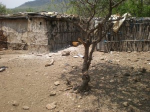 Two huts in the Manyatta