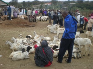 The men have moved to Tanzania with their animals