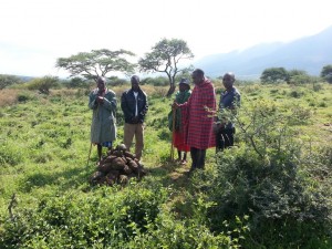 After the rains, the land is transformed into lush pasture.