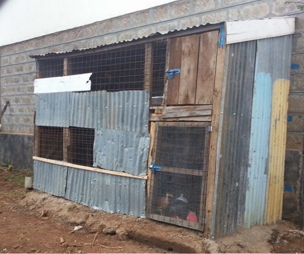 Chicken coop made from waste materials